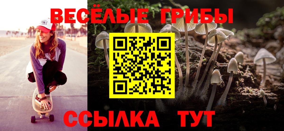 Йошкар-Ола  магазин продажи   Галлюциногенные грибы MAGIC MUSHROOMS  Вход с VPN  Псилоцибиновые грибы прущие грибы 