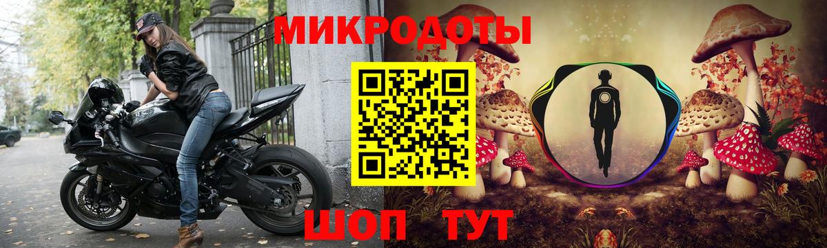 Псилоцибиновые грибы Cubensis Йошкар-Ола